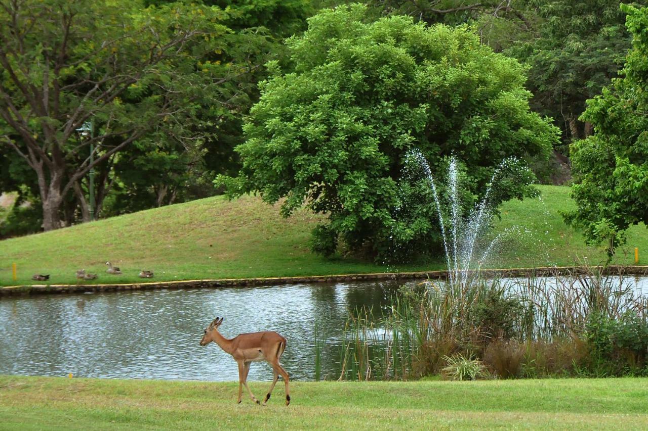 Kruger Park Lodge Unit No. 543 Hazyview Exteriör bild